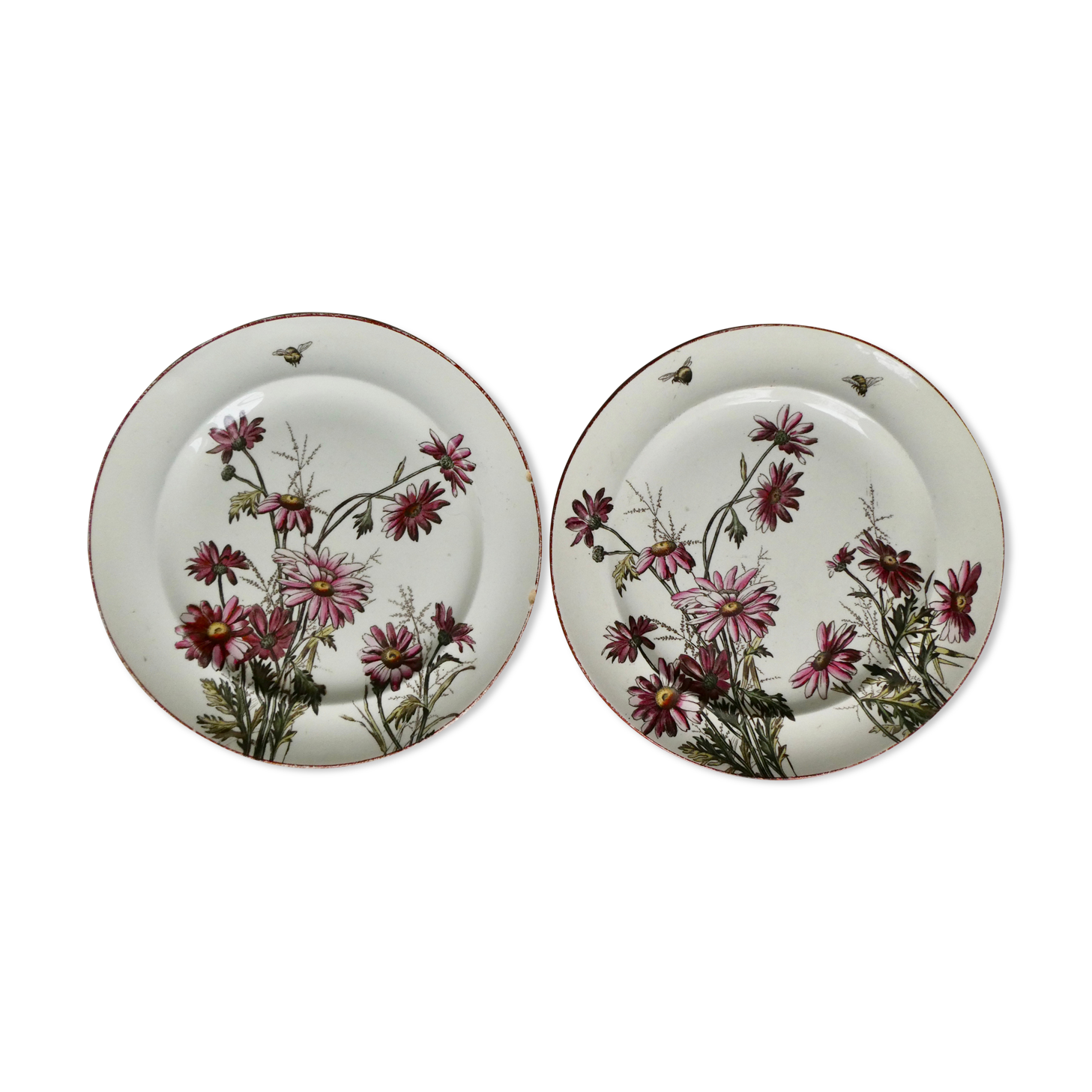 Set of 2 plates decorated flowers and bees, late 19th century