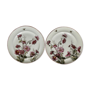 Set de 2 assiettes décor fleurs