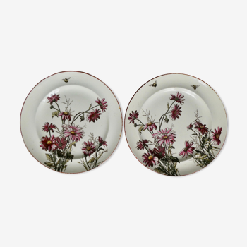 Set of 2 plates decorated flowers and bees, late 19th century