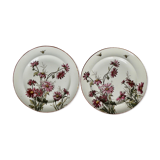 Set de 2 assiettes décor fleurs et abeilles, fin XIXème