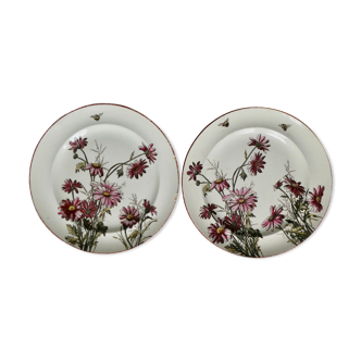 Set de 2 assiettes décor fleurs et abeilles, fin XIXème