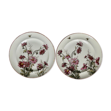 Set of 2 plates decorated with flowers and bees, late 19th century.