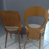 Suite of 6 chairs Baumann model Mondor and Seagull 1960