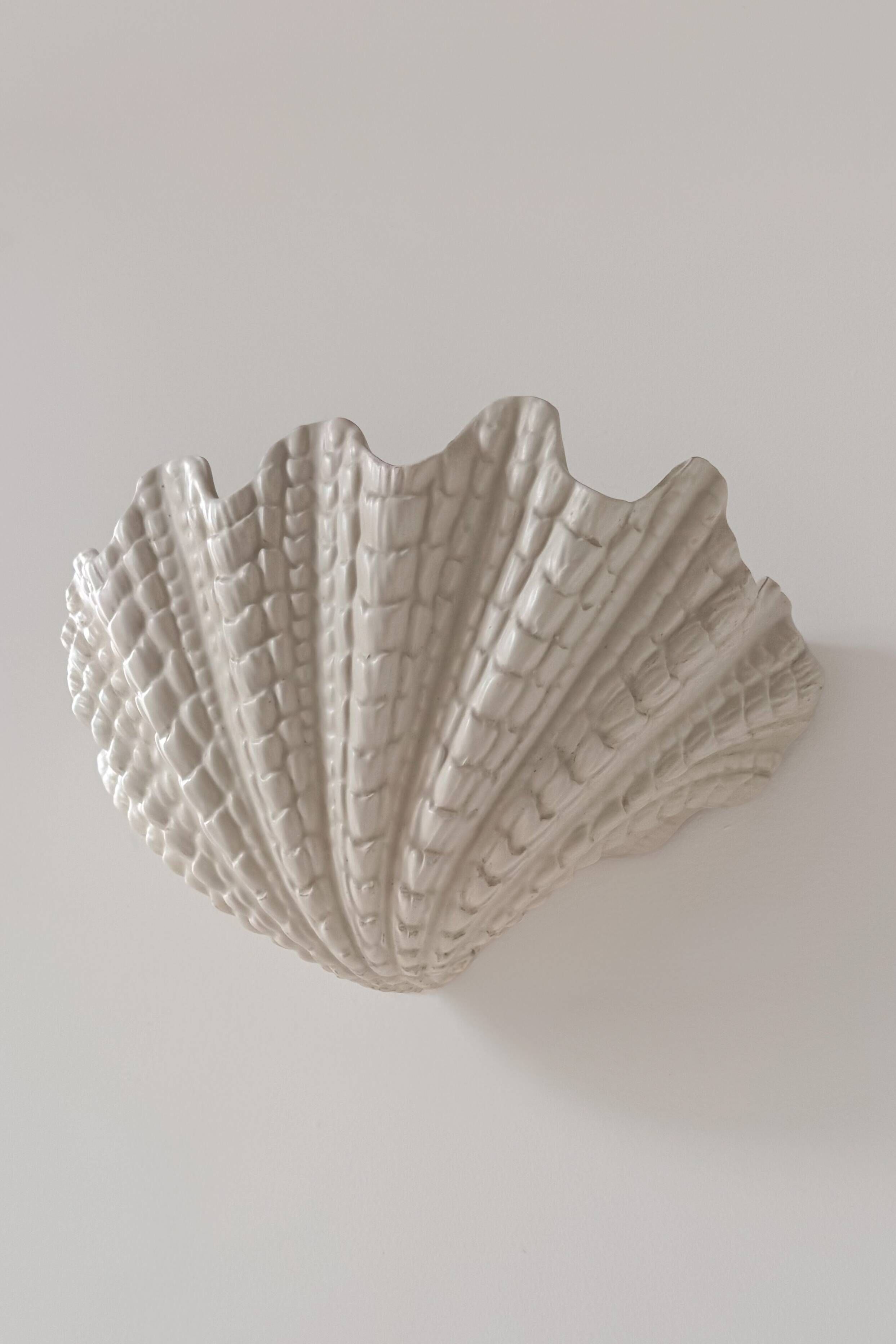 XL vintage shell wall light in plaster, France 1960