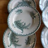 6 old Terre de fer flat plates
