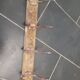 Old school coat rack with 13 hooks, 195 cm L
