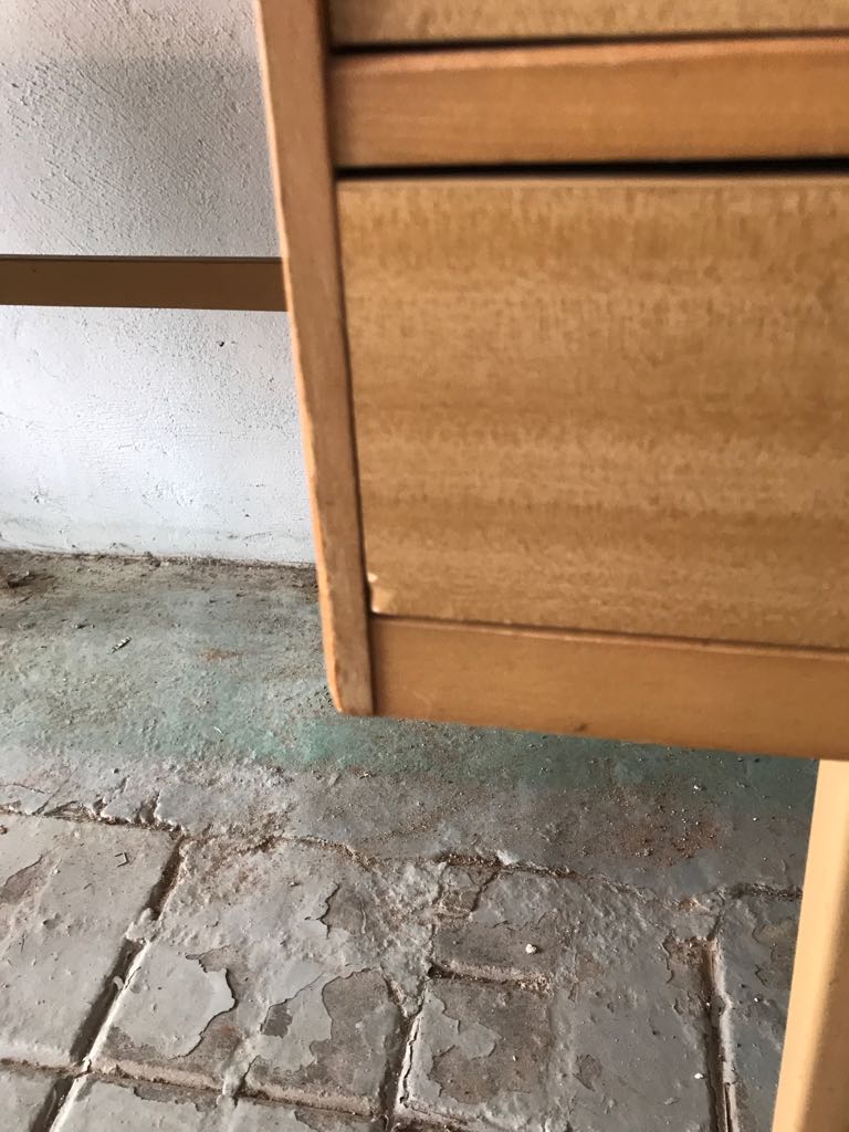 Office Ekawerk Horn Lippe