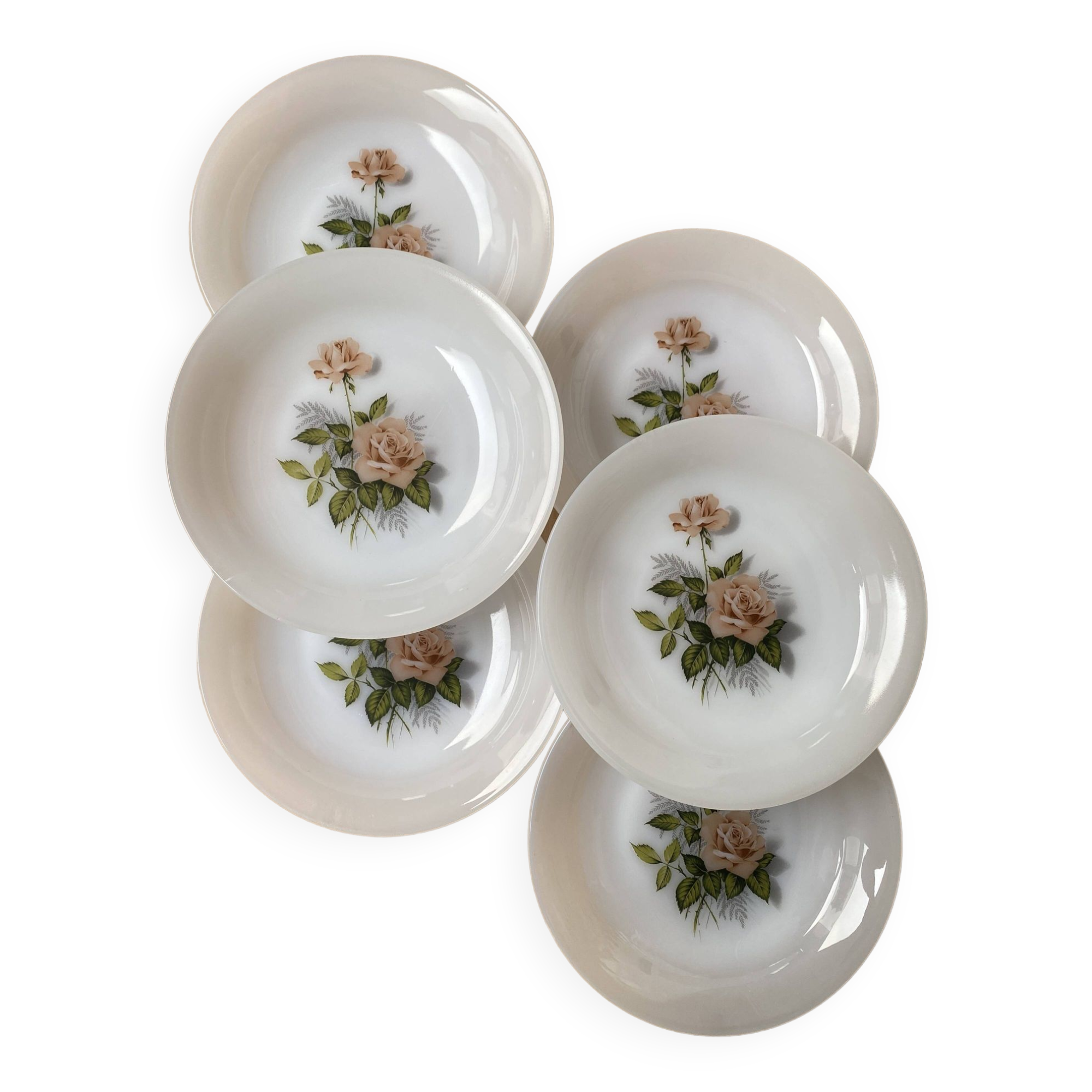 Set de 6 assiettes creuses Arcopal Rose de France