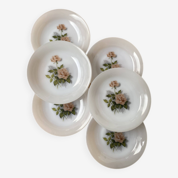 Set of 6 Arcopal Rose de France soup plates