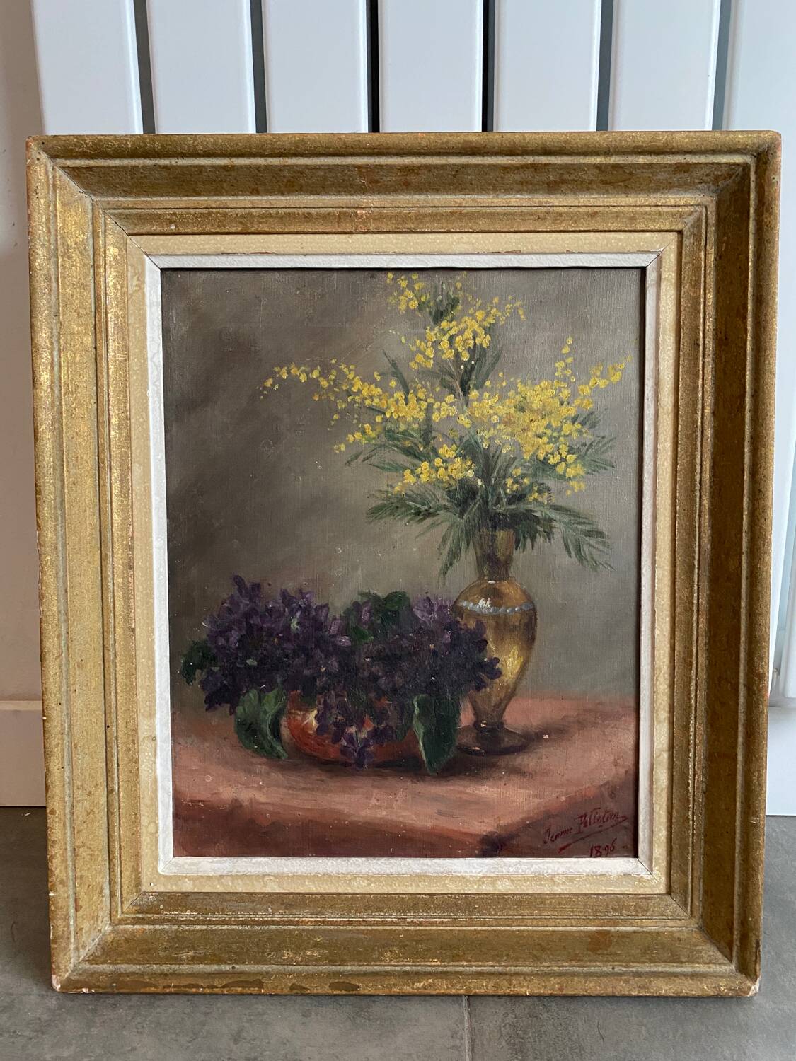 Still life with mimosa