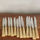 12 Apollonox knives in Bakelite