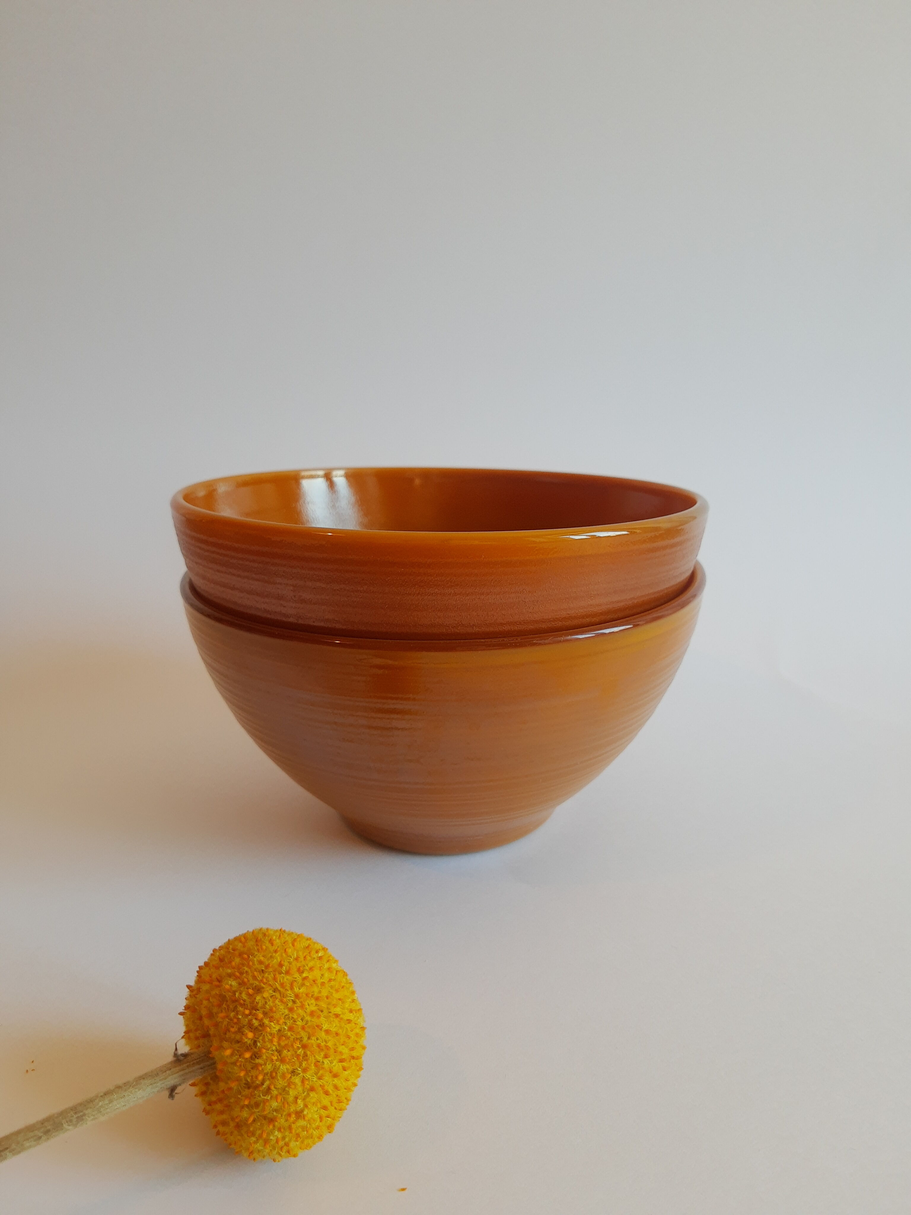 Duo of brown bowls Arcopal model Vintage volcano