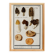 Petite affiche sur les champignons, d’après une gravure ancienne de 1610.