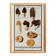 Petite affiche sur les champignons, d’après une gravure ancienne de 1610.