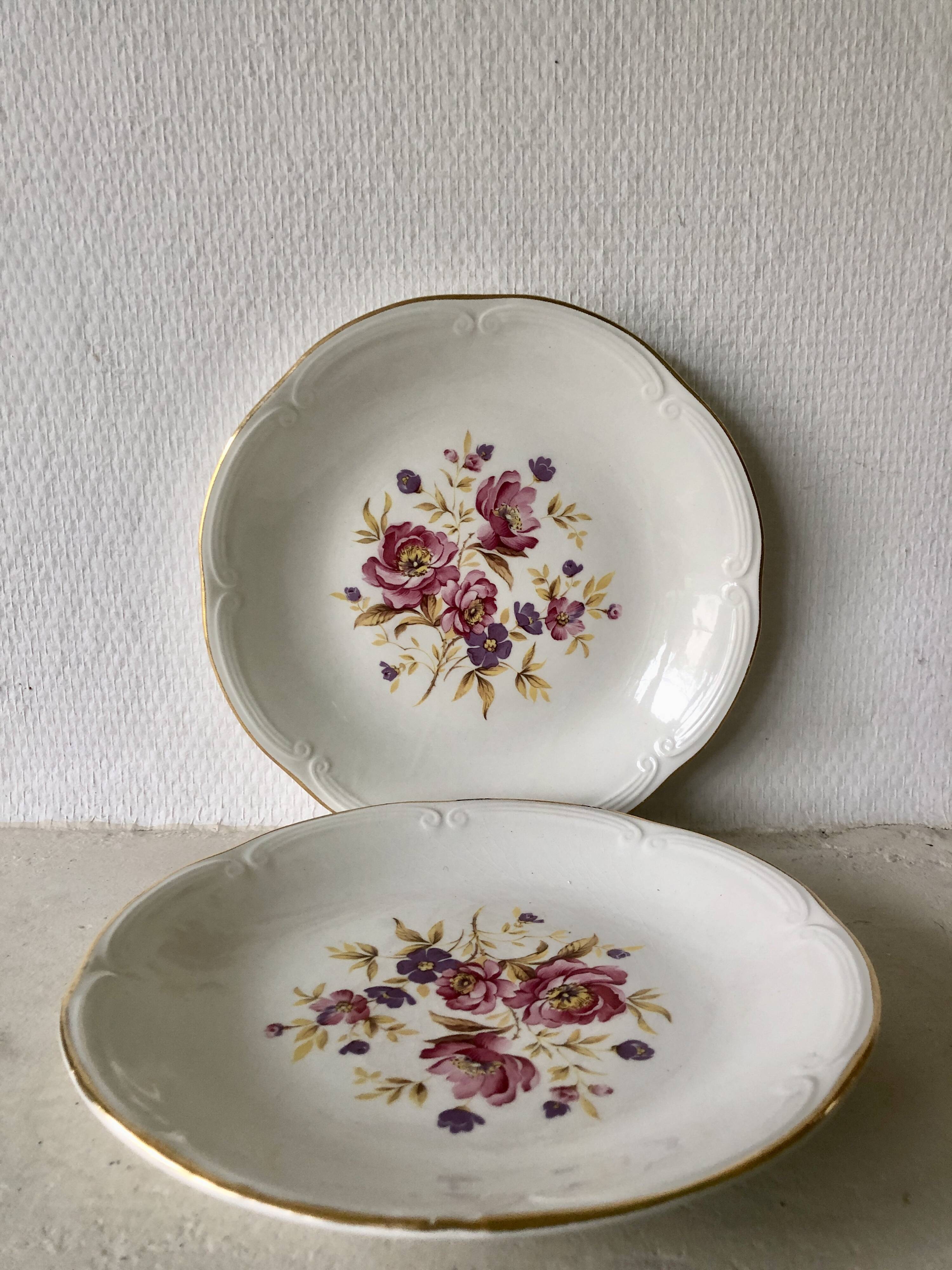 Set of 2 Gien earthenware dinner plates