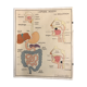 School anatomy poster (human body and digestive system)