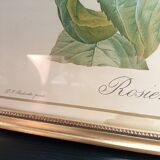 Redouté botanical board