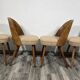 Dining Chairs from Antonin Suman, 1960s, Set of 4