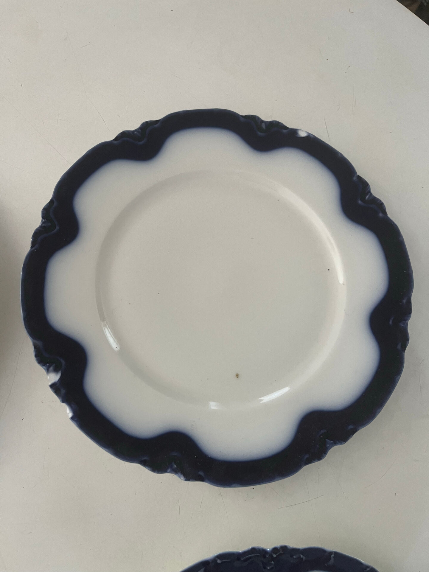 Set of 6 antique Haviland Paris porcelain plates.
