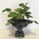 Cast-iron Medici vase