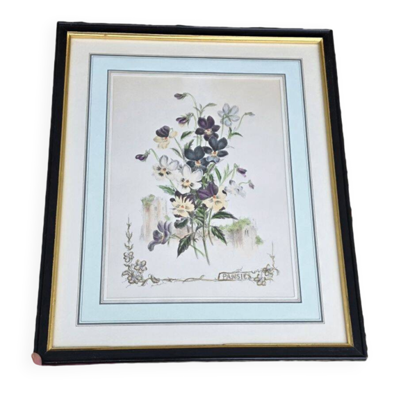 Fleurs De Redouté - Bouquet De Pensées Encadré