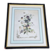 Redouté Flowers - Framed Bouquet of Thoughts