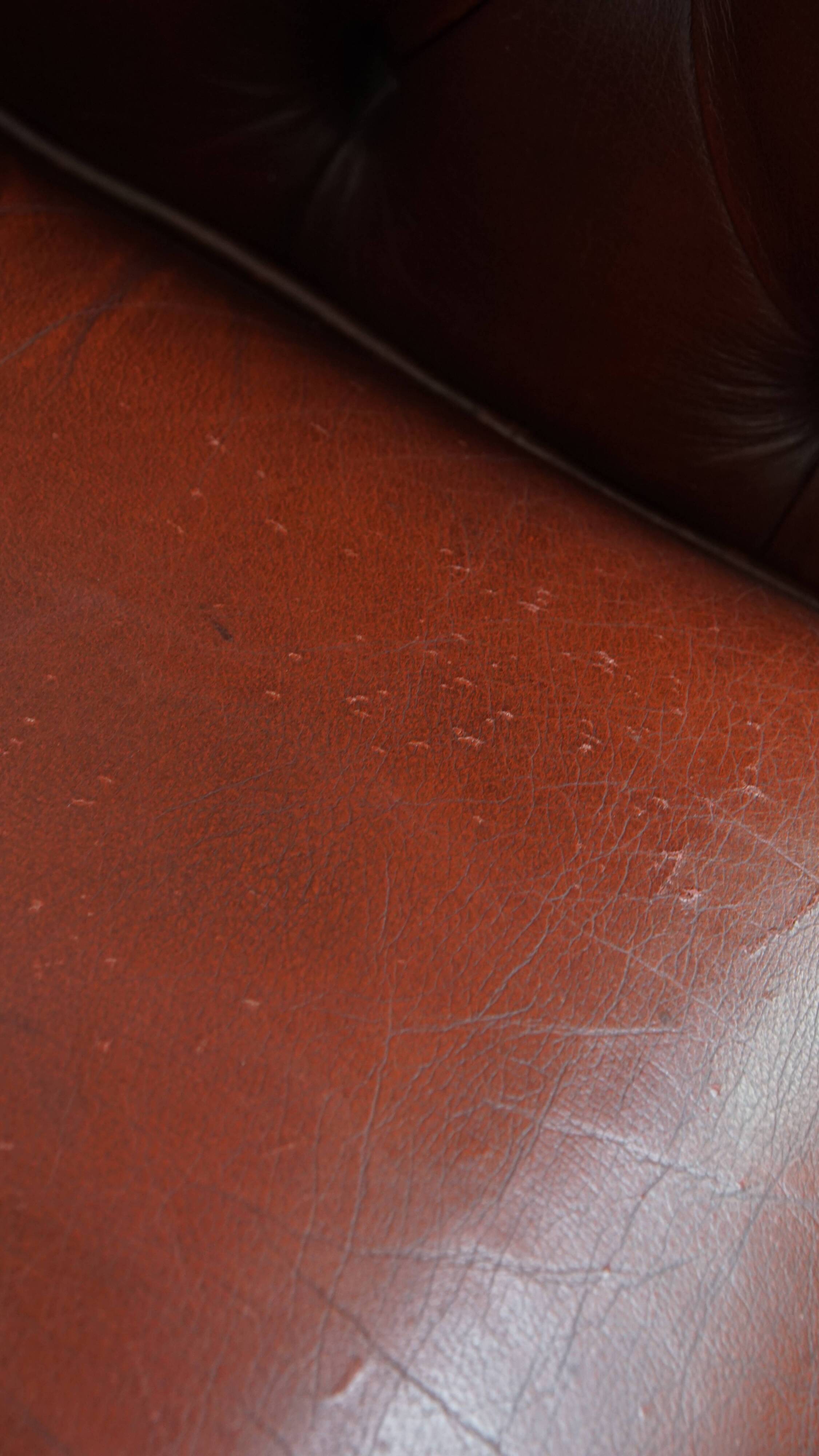 English Cowhide Leather Chesterfield Armchair