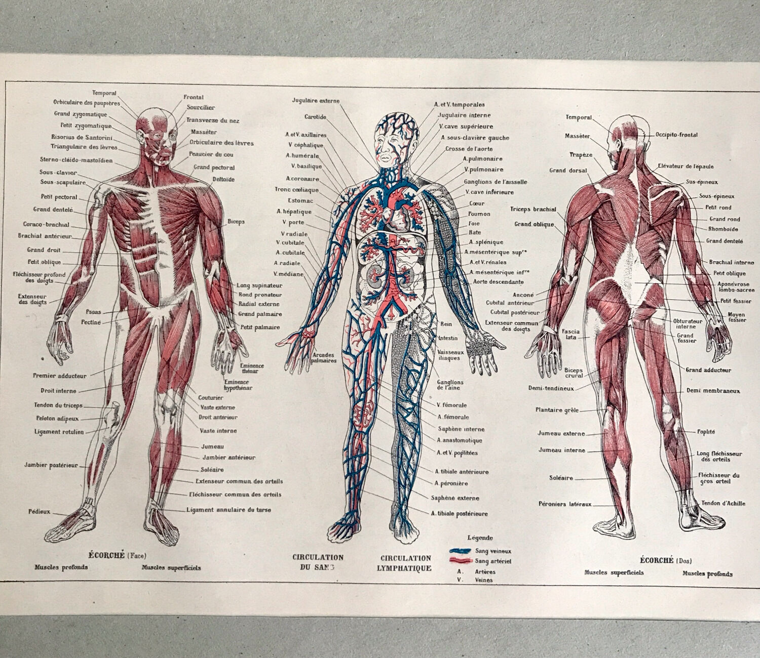 Original medicine board