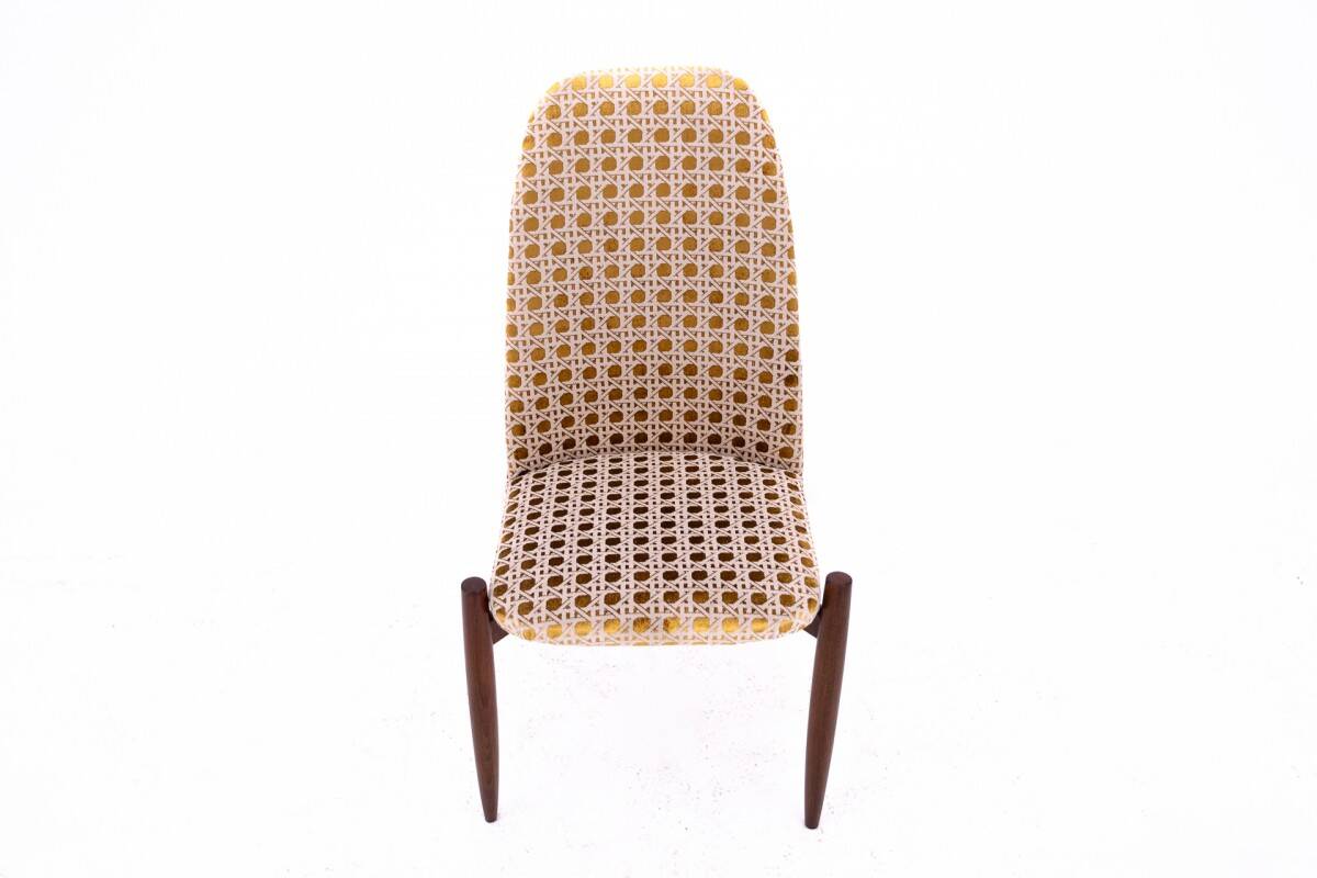 Set of 4 chairs, Czechoslovakia, 1950s. After renovation