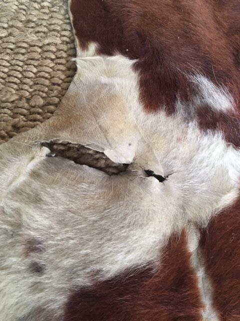 Cow cow carpet 220x225cm