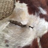 Cow cow carpet 220x225cm