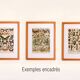 Antique engraving 1898, Insects 1, entomology • Lithograph, original illustration