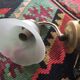 Vintage wall lamp