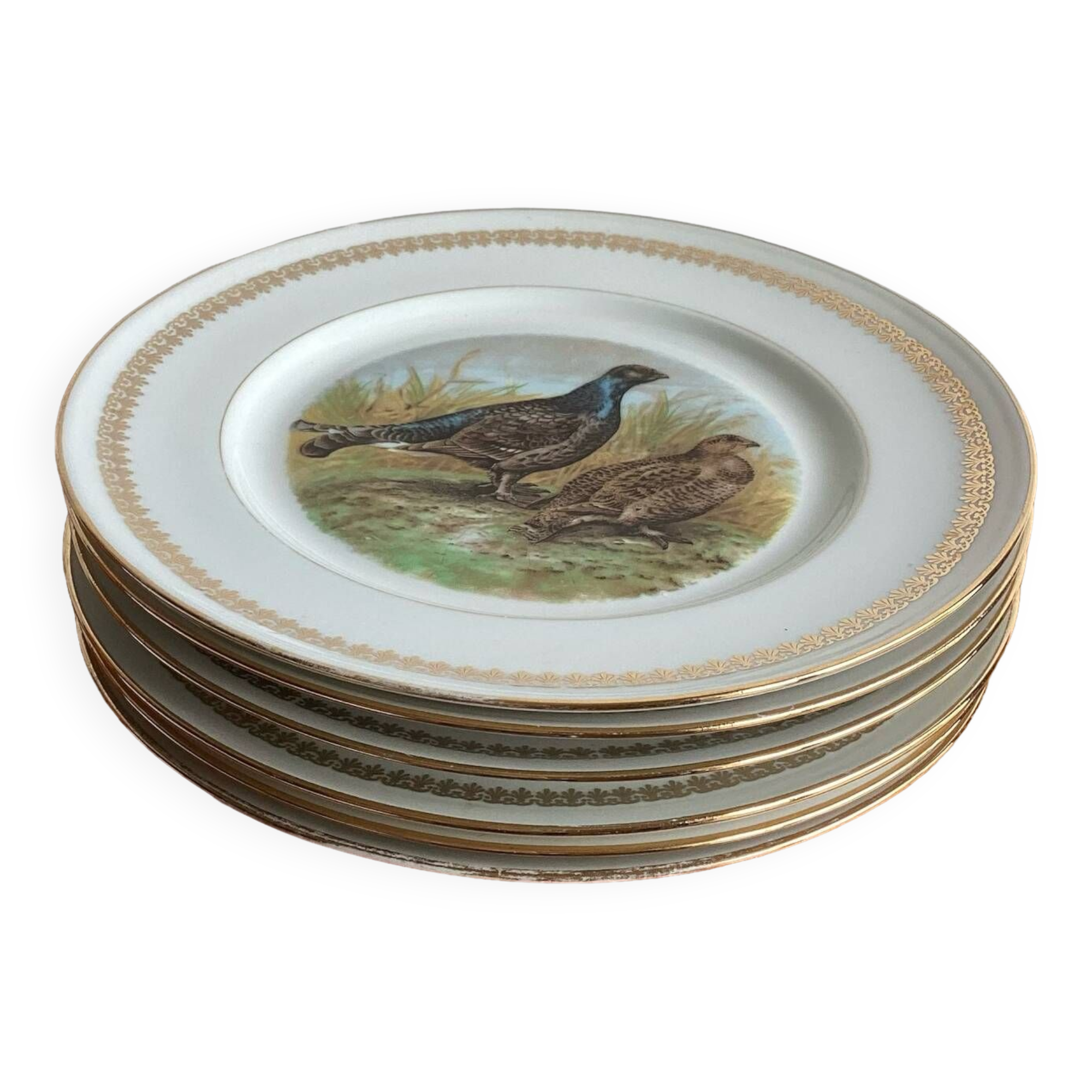 Flat plates PL Emaux Limoges Fafrique Mehun