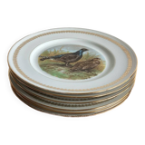 Flat plates PL Emaux Limoges Fafrique Mehun