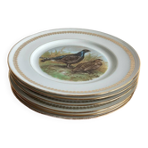 Flat plates PL Emaux Limoges Fafrique Mehun