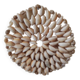Shell decoration