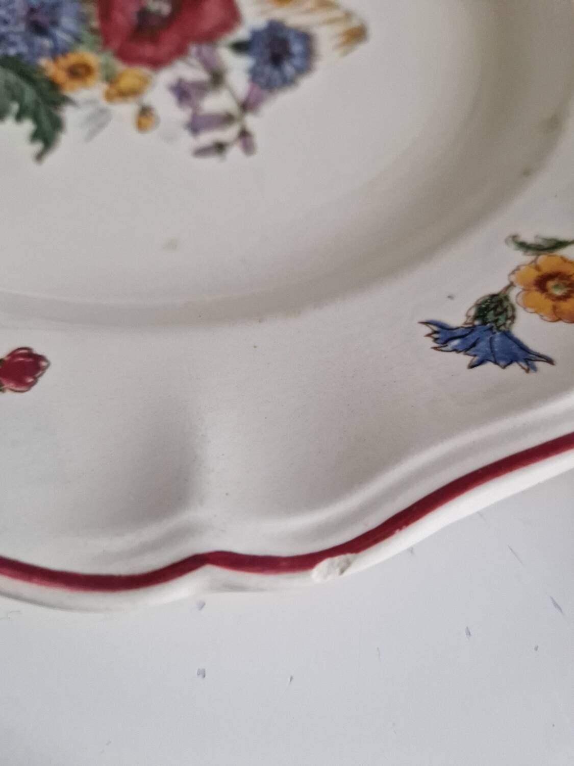 Set of 12 Sarreguemines Plates, Agreste Models