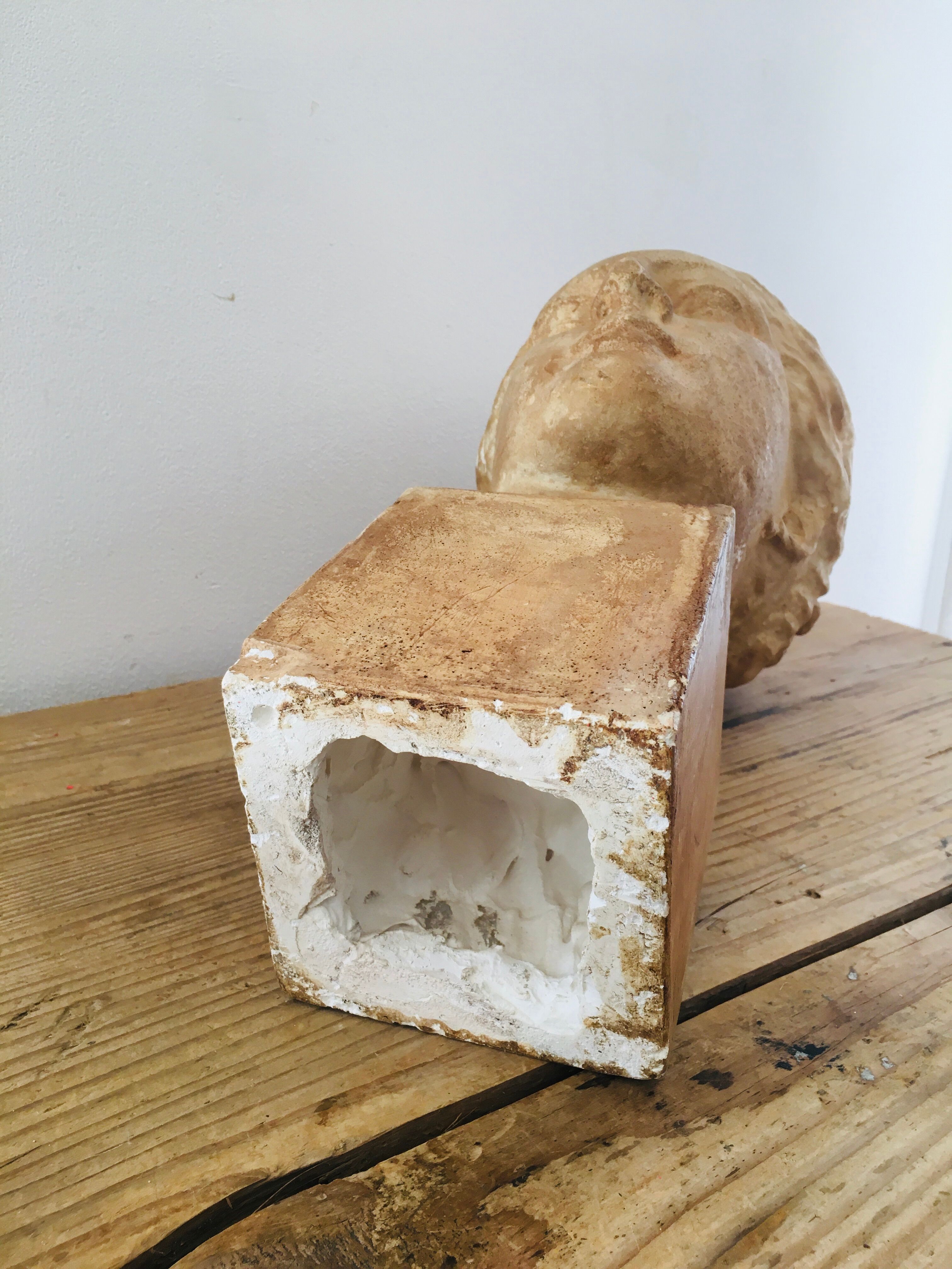 Plaster head goddess Hygie