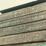 Old trunk
