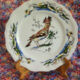Plate