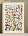 Affiche sur les champignons, d'après une lithographie de 1920