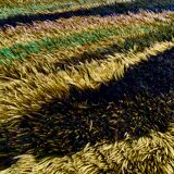 Green scandinavian modernist design wool rya rug woven handmade vintage 1960s