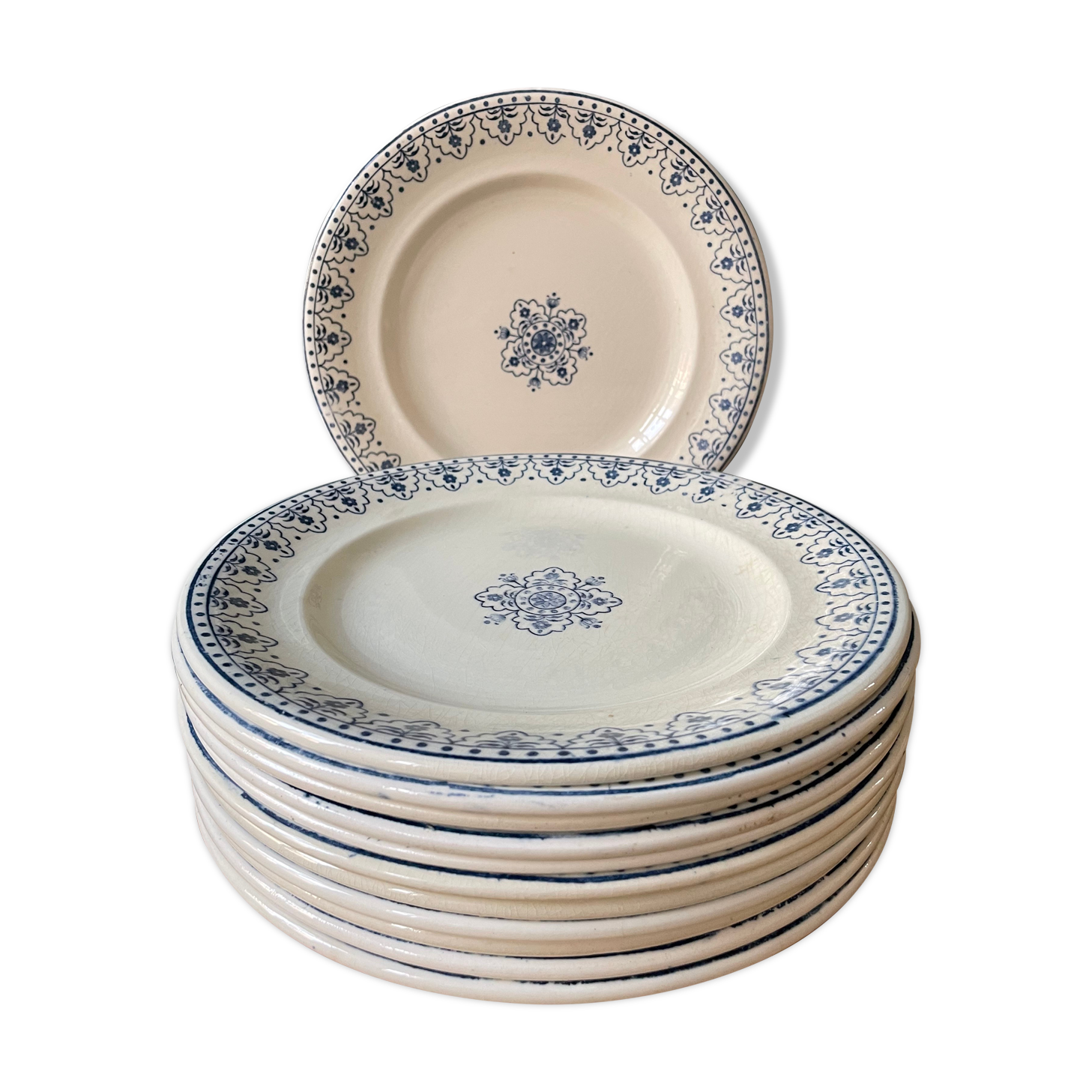 Series of 12 flat plates XIXth earthenware Terre de Fer Clairefontaine