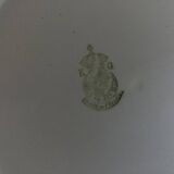 Set of 7 modernist flat plates Lunéville 1930 white earthenware