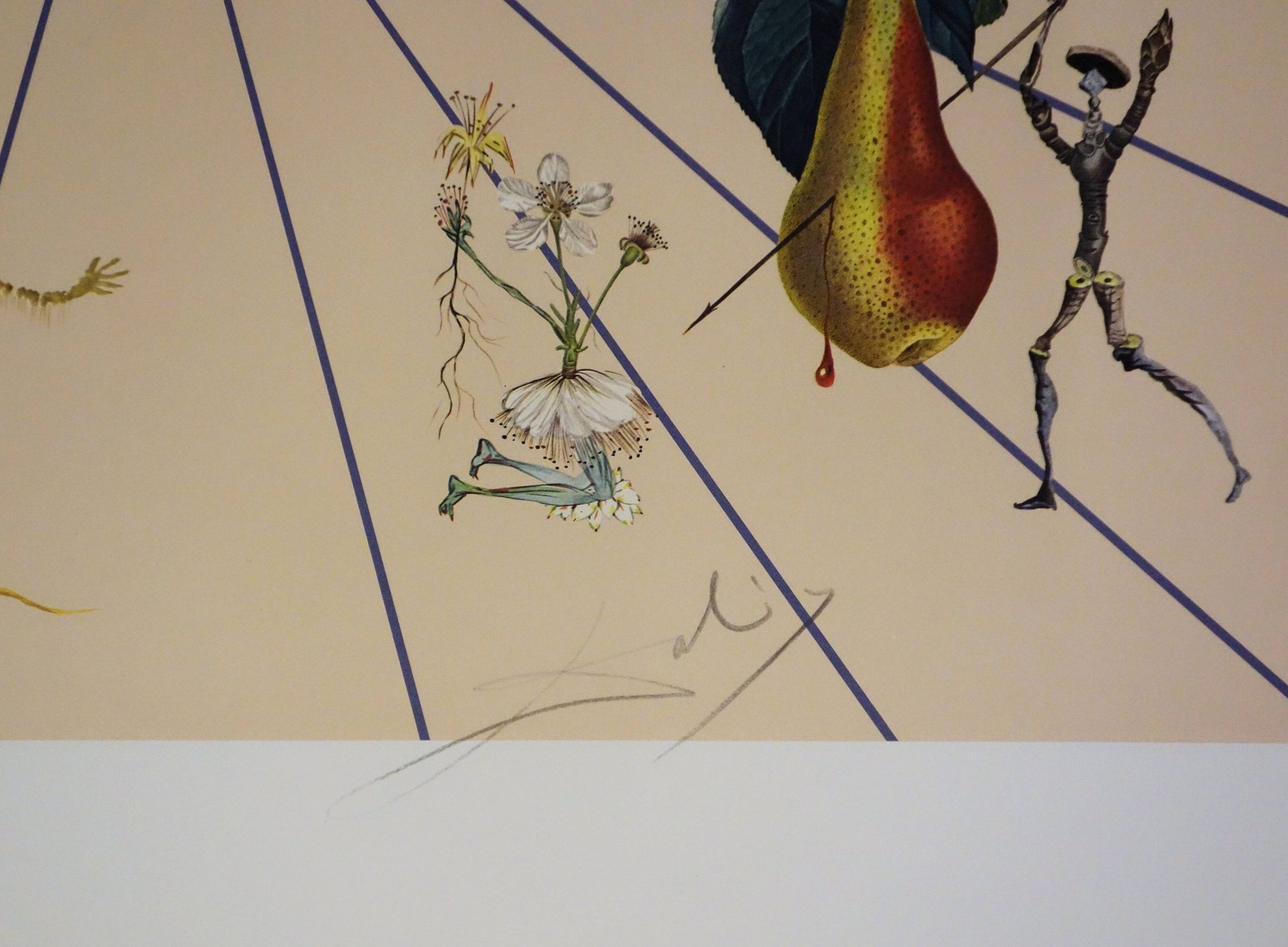 Salvador Dali: Flordali, The Butterfly Rose, original signed lithograph
