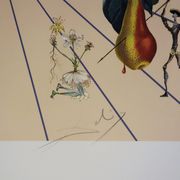 Salvador Dali: Flordali, The Butterfly Rose, original signed lithograph