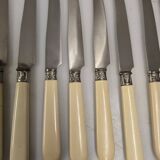 11 ivory knives