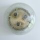 Vintage Limburg Space Age Murano Glass Light