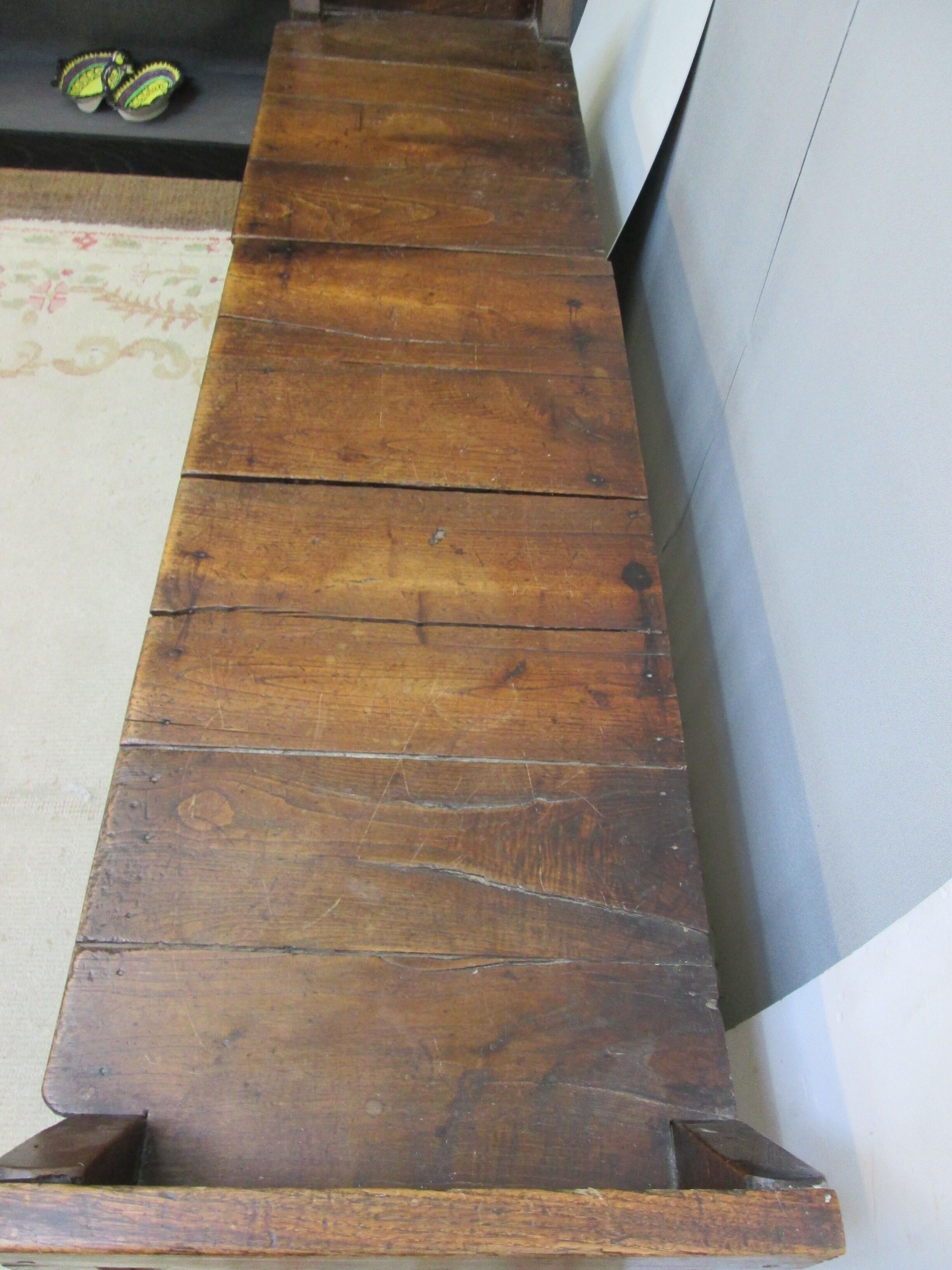 Chest in chestnut tree